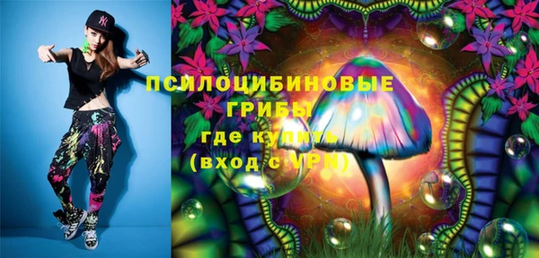 бошки Белокуриха
