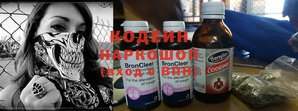 молекула духа Богородицк