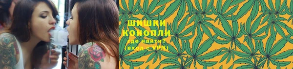 бошки Белокуриха