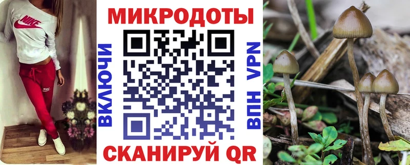 Галлюциногенные грибы Psilocybine cubensis  Купить где  Красавино 
